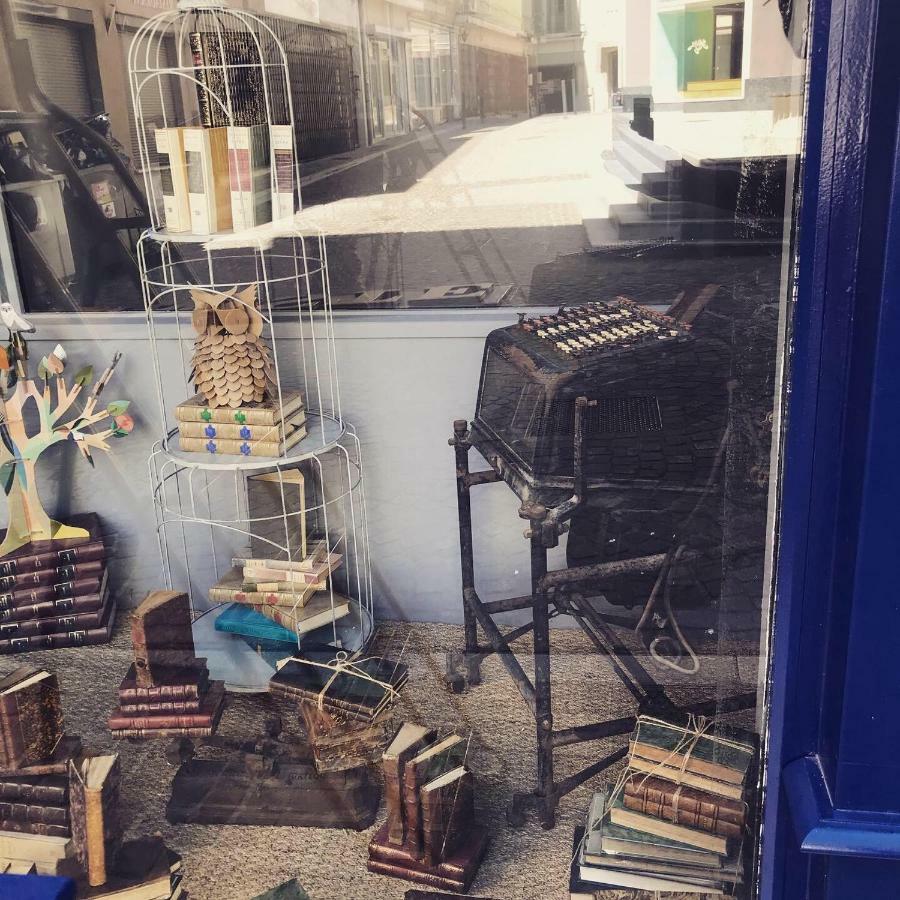 Le Bouquiniste, Centre Historique, Fibre, Ess, Rez-De-Chaussee, Bedinshop 로만스수르아이져 외부 사진